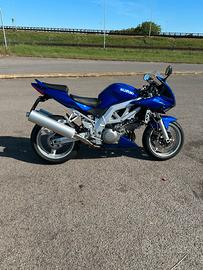 Suzuki 1000 SV