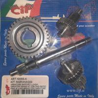 10055K Ingranaggi CIF (Variatore Ciao/Si/Bravo)