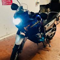 Honda Transalp XL 650 V