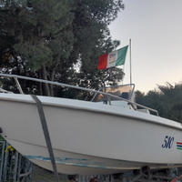 Barca e motore 40cv 4t