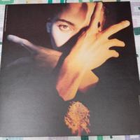 lp vinile Terence Trent D'Arby 
