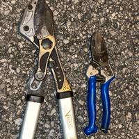 Troncarami piu forbice da potatura