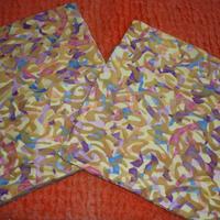 2 Copricuscini 41x41 cm fantasia astratta