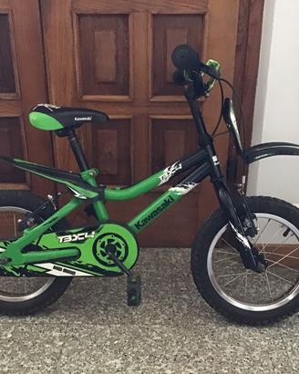 Bicicletta