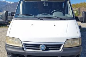 LAGAN MC LOUIS UNI PRO DEL 05 IN SALDO