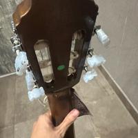 Chitarra eco