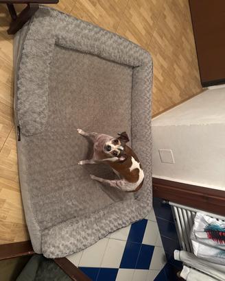 Cuccia cani con memory form