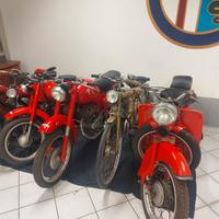 Moto Guzzi Altro modello - Anni 60