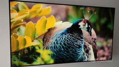 Oled TV Panasonic 65 pollici 