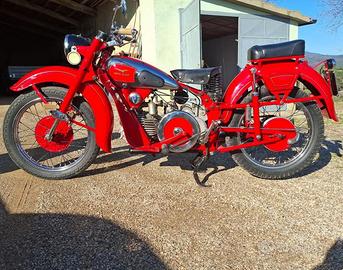 MOTO GUZZI 500 ASTORE TARGA ORO ASI