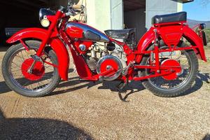 MOTO GUZZI 500 ASTORE TARGA ORO ASI