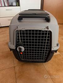 kennel cane