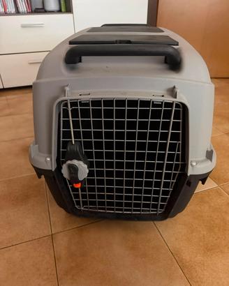kennel cane