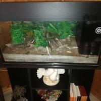 Acquario allestito usato con mobile dedicato