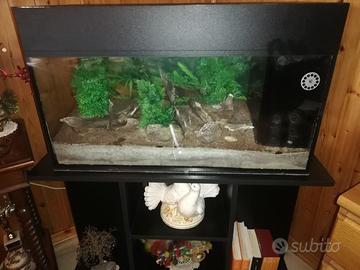 Acquario allestito usato con mobile dedicato
