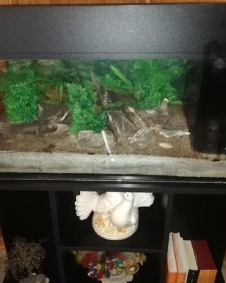 Acquario allestito usato con mobile dedicato