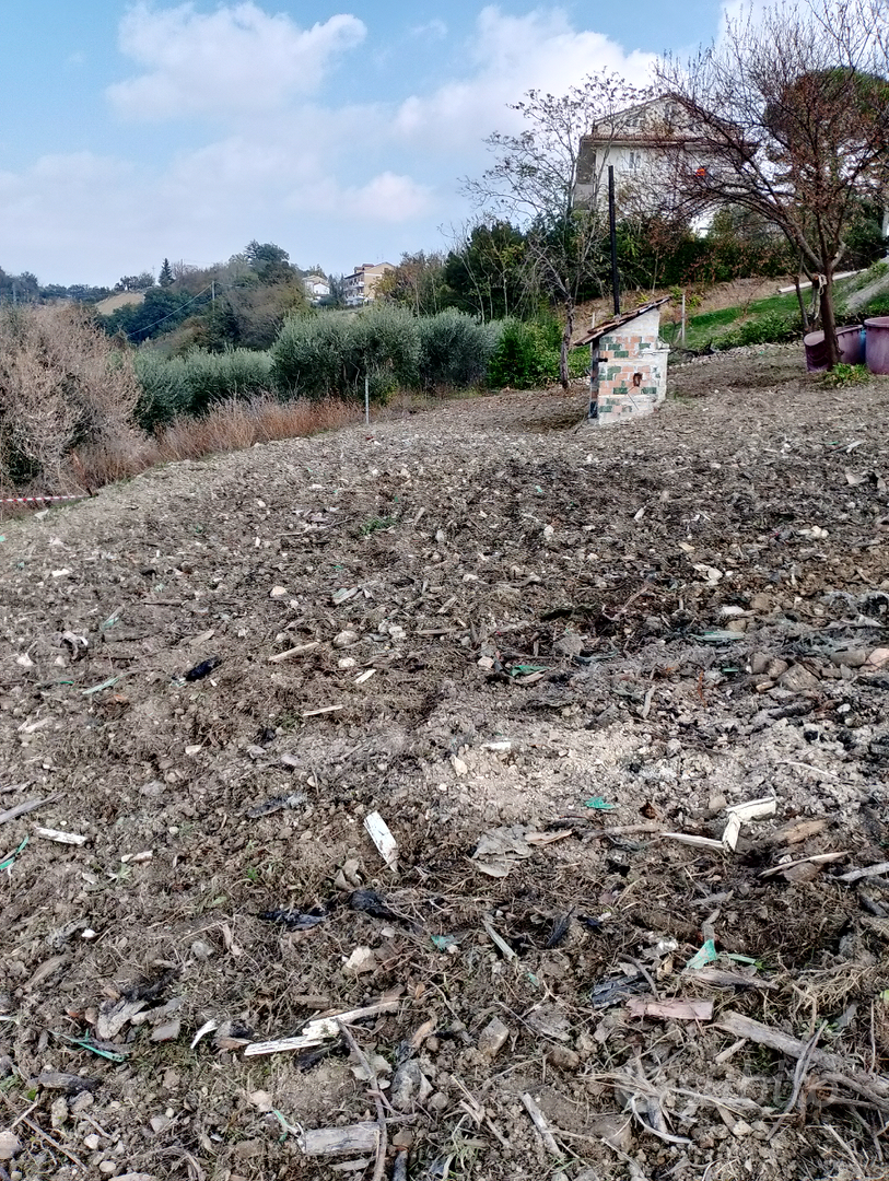 Terreno Agricolo - Vista 5
