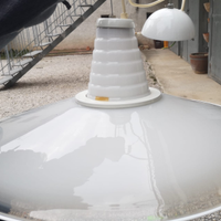 Lampadario VETRO DI MURANO