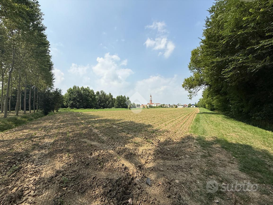 TER. AGRICOLO A SCORZÈ - Vista 3