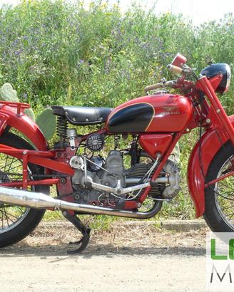 Moto Guzzi Falcone 500 Turismo (M1514)