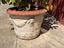 Immagine 6