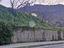 Immagine 6