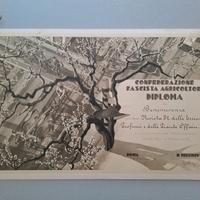 Antico diploma Duilio Cambellotti