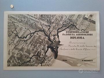 Antico diploma Duilio Cambellotti