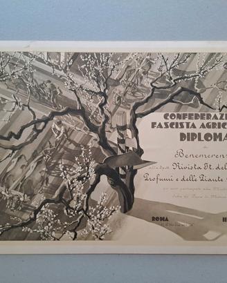Antico diploma Duilio Cambellotti