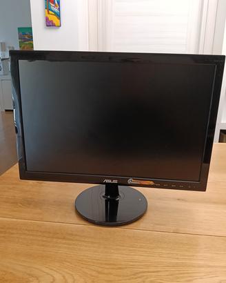 monitor vga 19 pollici