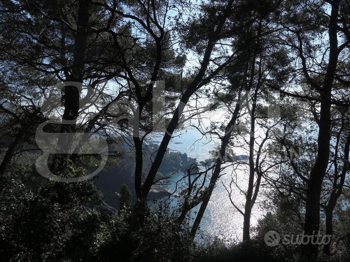 Rustico/Casale/Corte Lerici [629VRG] - Vista 6