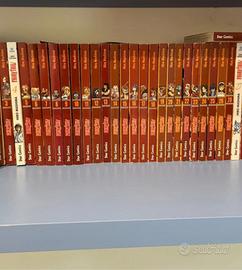 Fairy tail