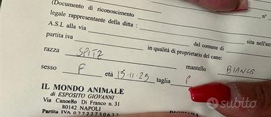 Per info contattatemi