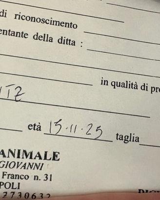 Per info contattatemi