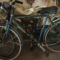 biciclette 