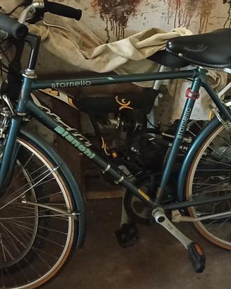 biciclette 