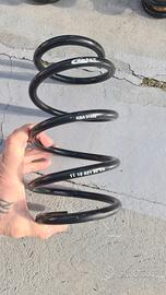 Molle eibach per Audi A3 8v