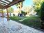 Immagine 7