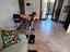 Immagine 11