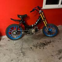 Califfone bimarcia 50