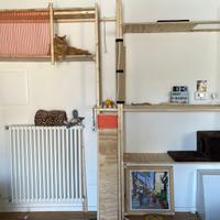 Parete attrezzata per gatti