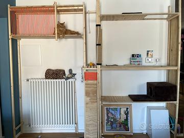 Parete attrezzata per gatti