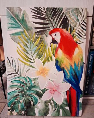 quadro pappagallo