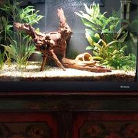 Acquario 30 litri Newa