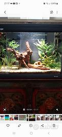 Acquario 30 litri Newa