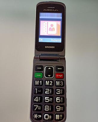 Cellulare Brondi amico flip +