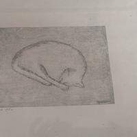 Tito Pasini " gatto " 1960 punta secca