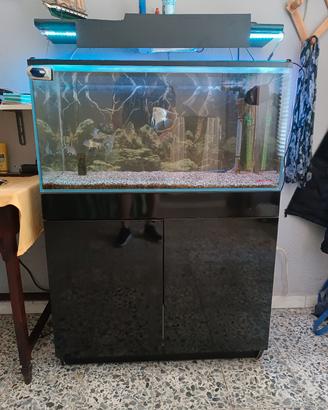 acquario wave 