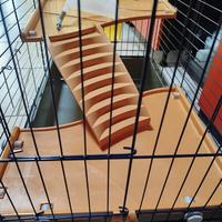 Gabbia per coniglietti...