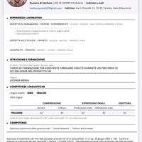 Dishwasher, magazine, restaurante pulizie